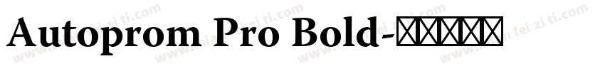 Autoprom Pro Bold字体转换